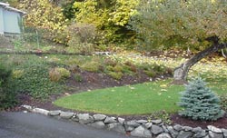 A Landscaped Glendon® Biofilter System